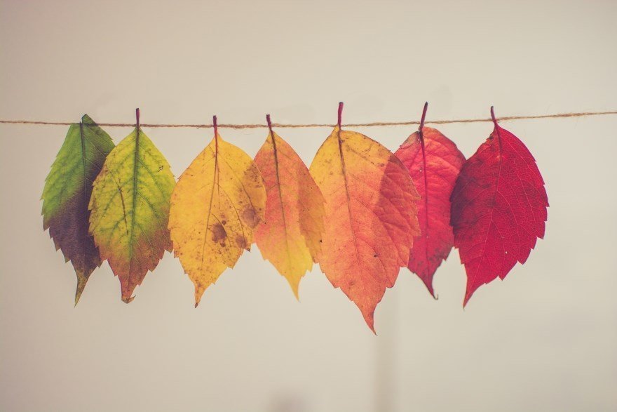25 free stock photos with autumn mood